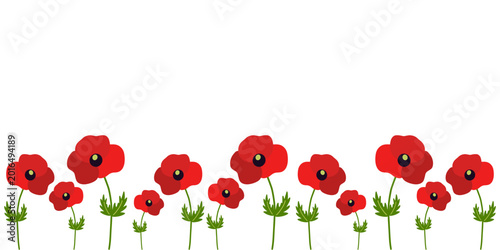 Vector seamless border of red poppy wildflowers. Summer floral background. Основные RGB