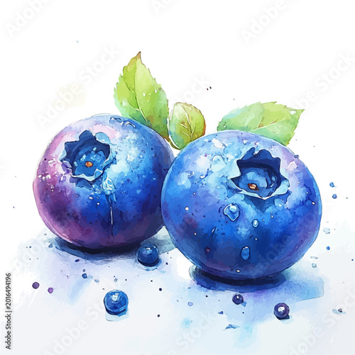 Fotografía Blueberry, whimsical watercolor vector illustration with vibrant highlights and delicate strokes, isolated on a white background