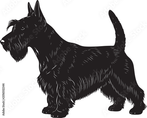 Fotografi Black silhouette of a scottish terrier dog standing alert, showcasing its distin
