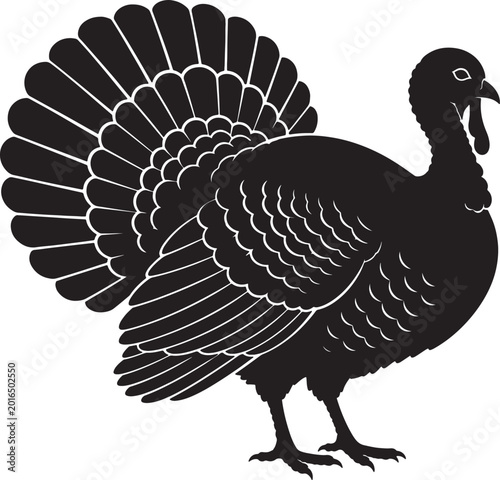 Silhouette of a male turkey with fanned tail feathers, black of a bird, symbolizing thanksgiving, autumn, and nature also transparent background