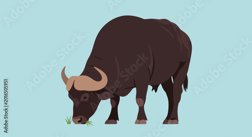 Tableau sur toile African Buffalo Grazing - Flat Design Illustration