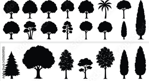 Cuadro en lienzo Collection of diverse tree silhouette illustrations including pine, palm, cypres
