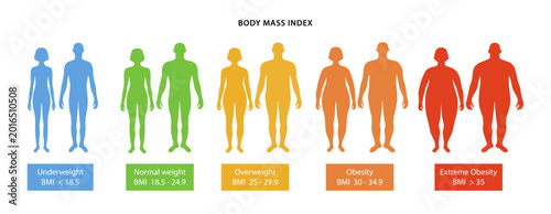Body mass index. Silhouettes of color male and female bodies with varying degrees of obesity, with their body mass index indicated. Vector illustration in flat style isolated over white background.