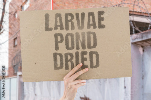 Foto "Larvae Pond Dried" Drying ponds eliminate aquatic larvae habitat for beetles and dragonflies