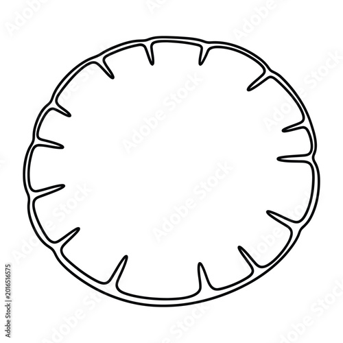 Citrus fruit slice line art illustration representing orange lemon or lime for refreshing and healthy lifestyle designs