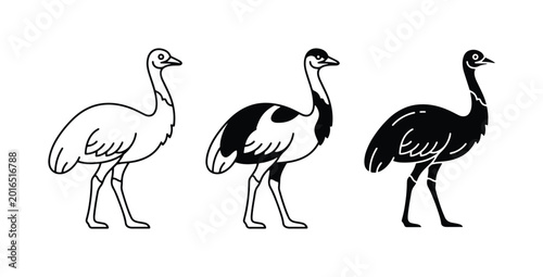 Photography Ostrich Vector Icons: Outline, Silhouette, and Black & White Styles for Wildlife