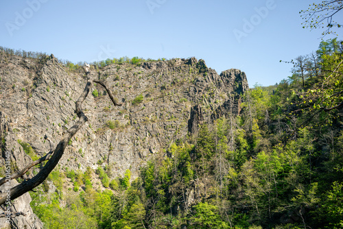 Naturidylle zwischen Wald und Fluss
