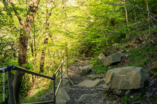 omantische Wanderung im Bodetal