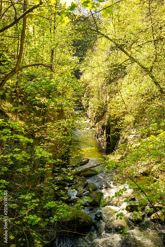 Naturerlebnis im Harz mit Blick auf die Bode