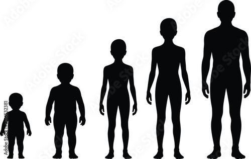 Canvastavla Human Body Growth Stages Silhouette Collection Showing Child to Adult Developmen