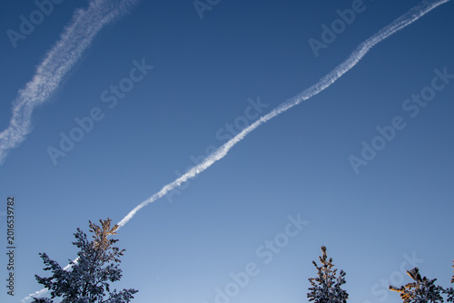 A white aircraft contrail in the sky. A forest of trees.