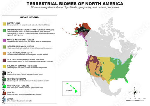 Foto Detailed vector map of the terrestrial biomes of North America featuring major e