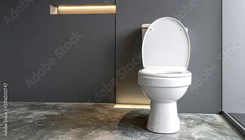 Modern bathroom interior with white toilet grey walls and concrete floor