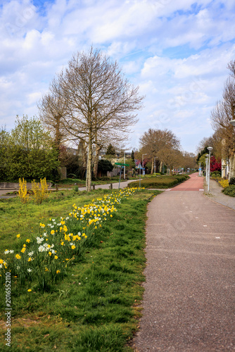 spring in the park