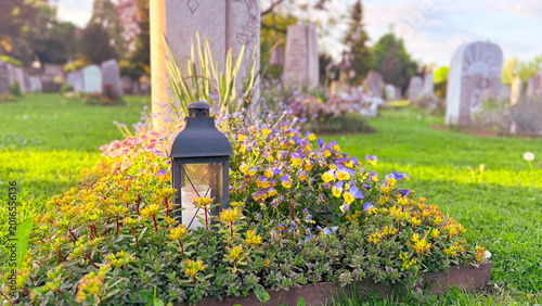 Close-up cemetery memorial landscape with green grass and gravestones during seasonal remembrance period, respectful outdoor burial design concept symbolizing spiritual peace, family memory and