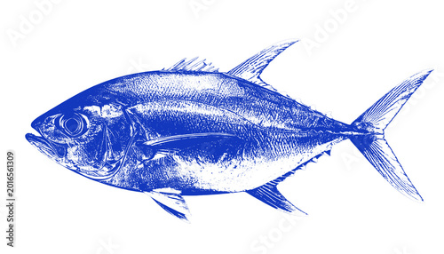 Cuadro en lienzo Sleek Blue Tuna Fish Digital Art Silhouette