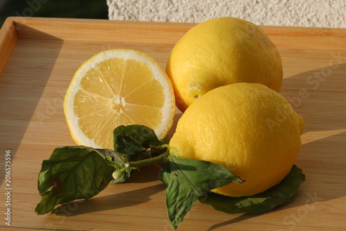 
Lemons - fruits with leaves on a tray in sunlight