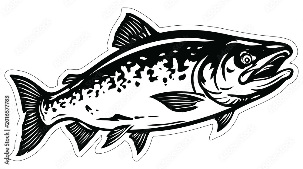 Fototapeta premium Black and white illustration of a salmon fish swimming isolated on white background