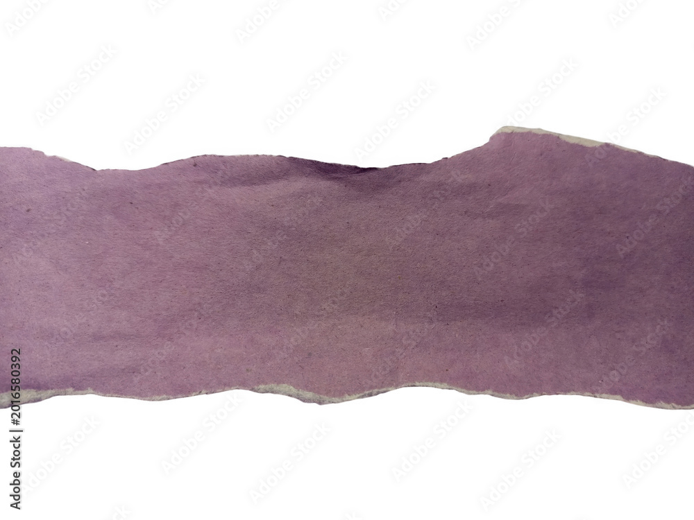 Fototapeta premium Single strip of soft purple torn paper isolated on transparent background for creative layout