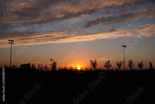 sunset near the forest