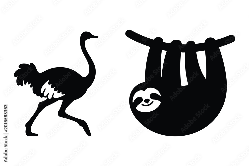 Fototapeta premium Ostrich running and sloth hanging on tree branch with wildlife, silhouette