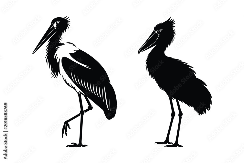 Fototapeta premium Silhouette of two storks standing against white background with wildlife