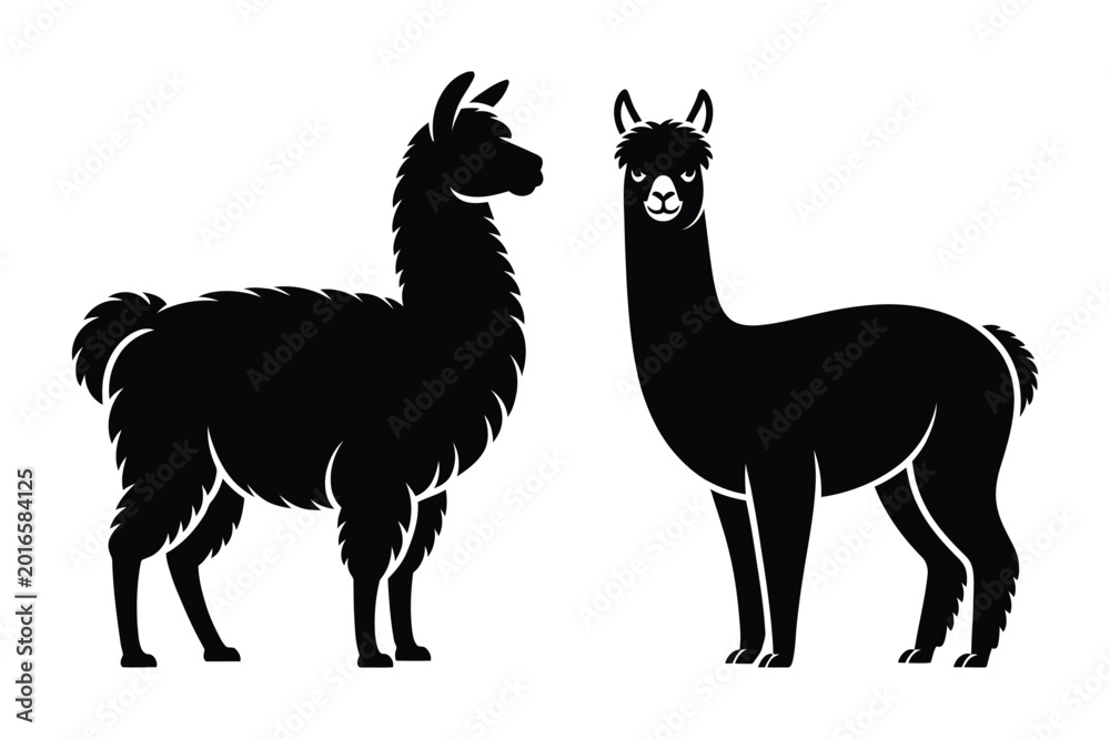 Fototapeta premium Two llama and alpaca silhouettes side by side with silhouette, illustration