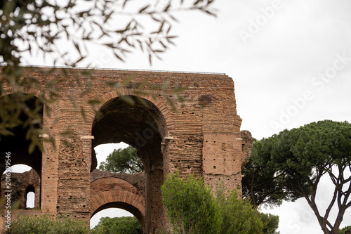 Bild auf Leinwand Spring vacation in Rome, view on Circus Maximus ruins, green pine trees and old