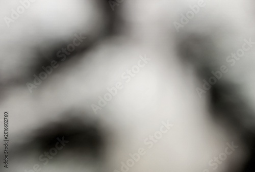 Bild auf Leinwand Intentional abstract blurred background with soft white and dark organic shapes