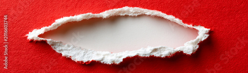 Torn Paper Revelation: A vi...