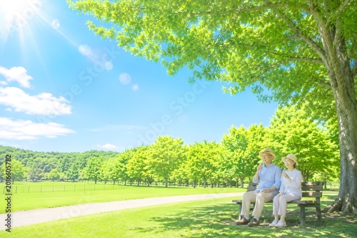 夏の強い日差しの公園で木陰に座り水分補給をして休憩する帽子姿の高齢夫婦の熱中症対策イメージ（AI生成）