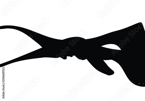 Tableau sur toile Black silhouette of a swallow bird flying with forked tail on white background s