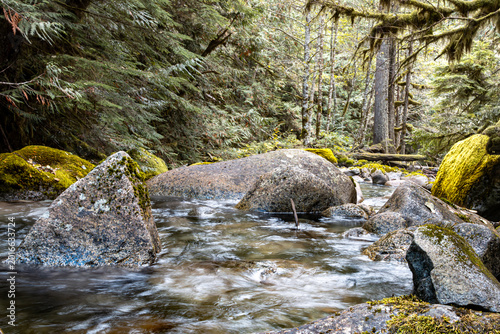 Creek in the forest along old highway 2 in Washington State