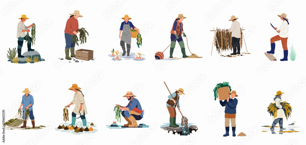 Fototapeta premium Collection of illustrations depicting various people harvesting, gathering, and drying seaweed in coastal environments, presented in a flat vector style.