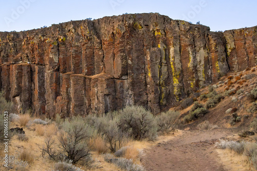 Basalt Rocks Feathers at Frenchman Coulee