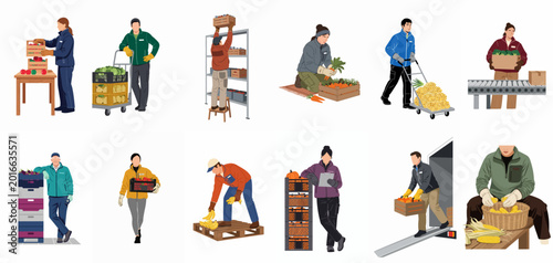 Konstfotografi Flat illustrations of food bank workers and volunteers sorting, packing, and distributing fresh fruits and vegetables in a warehouse setting