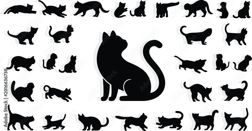 Fototapeta premium Adobe Illustrator Artwork