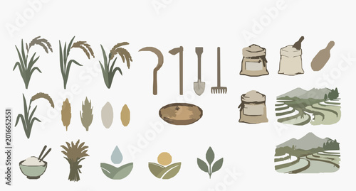 Obraz na płótnie Decorative Rice Harvest and Grain Field Vector Illustration Bundle