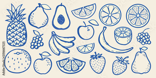 Hand drawn blue line art of various fruits and berries