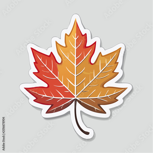 Autumn Maple Leaf Illustration