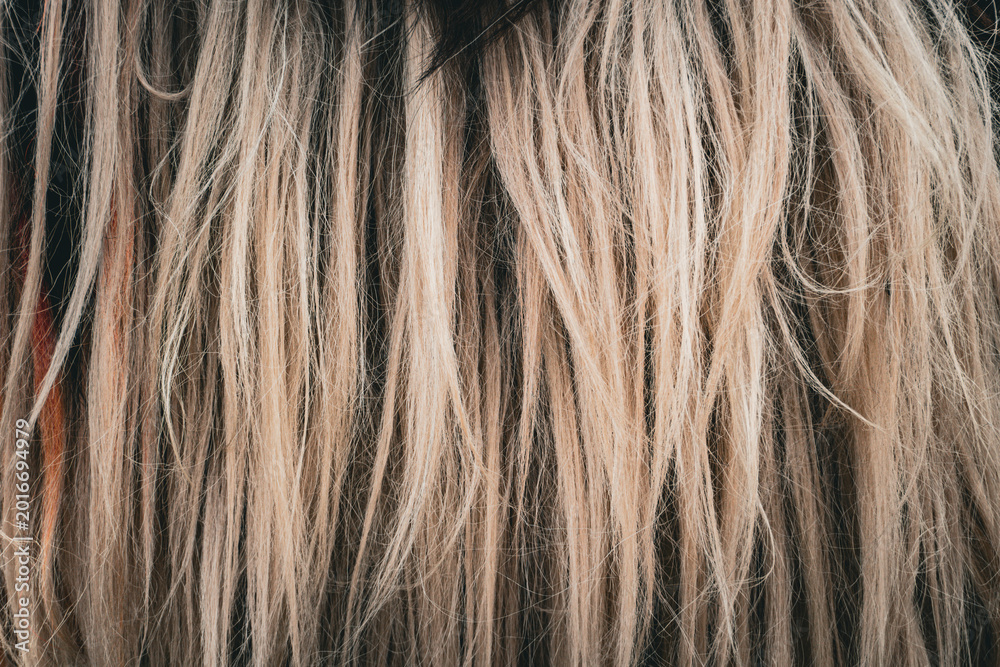 Fototapeta premium Close-up Texture of Messy Blonde and Dark Hair Strands