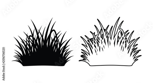 Quadro su tela Tufts of grass silhouettes on a white background silhouette