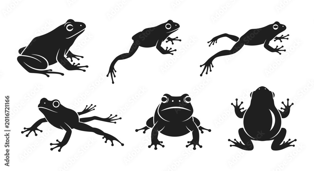 Obraz premium Silhouettes of frogs in various poses and positions, representing amphibians in different actions and anatomical views
