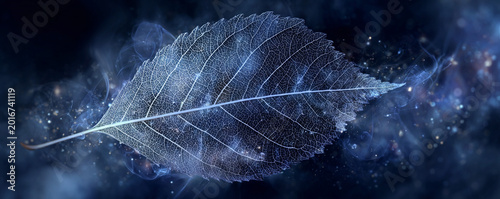 Ethereal leaf skeleton illuminated with cool starlight over dark navy haze 32k ultra HD