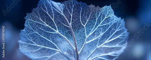 Faint moonbeam light illuminating delicate icy leaf veins 32k ultra HD