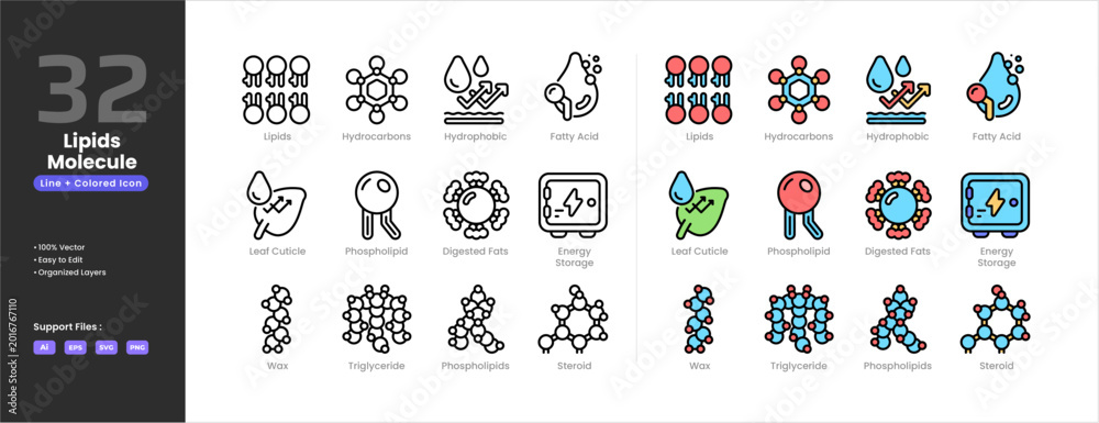 Obraz premium Lipids icon set collection - colored outline line art style.Digested fats Energy Storage Fatty Acids Hydrocarbons Hydrophobic Leaf Cuticles Phospholipid Molecule Phospholipids Steroid Triglyceride Wax