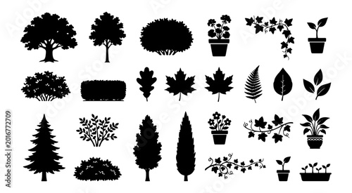 Cuadro en lienzo Nature and forest symbols with squirrel and acorn