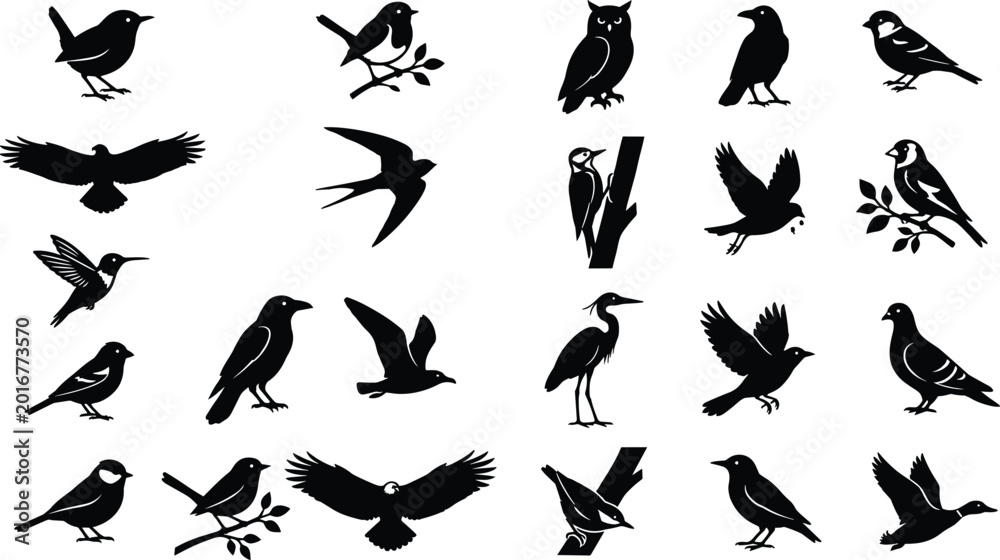 Fototapeta premium Bird Silhouette Vector Collection Featuring Flying Perching and Wild Avian Species Isolated on White Background
