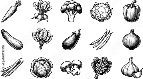 Tableau sur toile Hand Drawn Vegetable Icon Collection Vector Illustration Set with Carrot Broccol