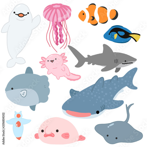 Fotografie a collection of sea animals